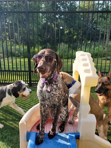 Pleasant Paws Pet Center