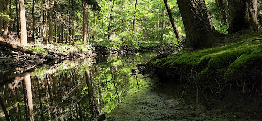 Nature Preserve «Mianus River Gorge Preserve», reviews and photos, 167 Mianus River Rd, Bedford, NY 10506, USA