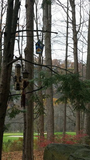 Private Golf Course «Panther Valley Golf & Country Club», reviews and photos, 1 Forest Dr, Allamuchy Township, NJ 07820, USA