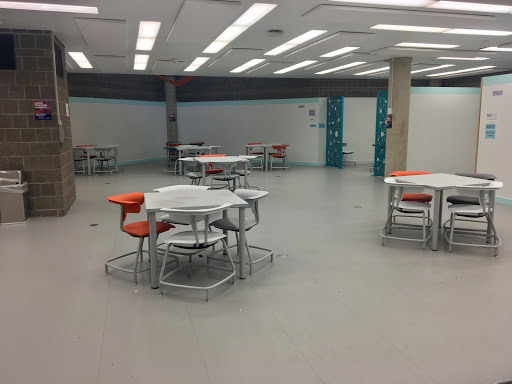 Public University «University of Illinois at Chicago», reviews and photos