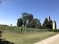 Bordeaux Wine Trails - Wine & Bike tours Bordeaux