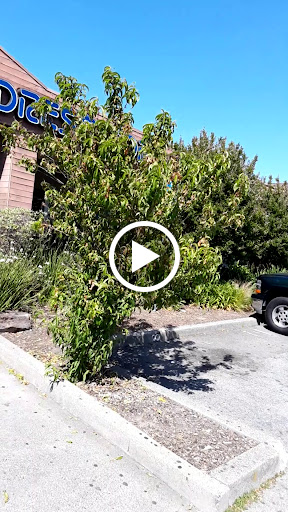 Clothing Store «Ross Dress for Less», reviews and photos, 75 Bellam Blvd, San Rafael, CA 94901, USA