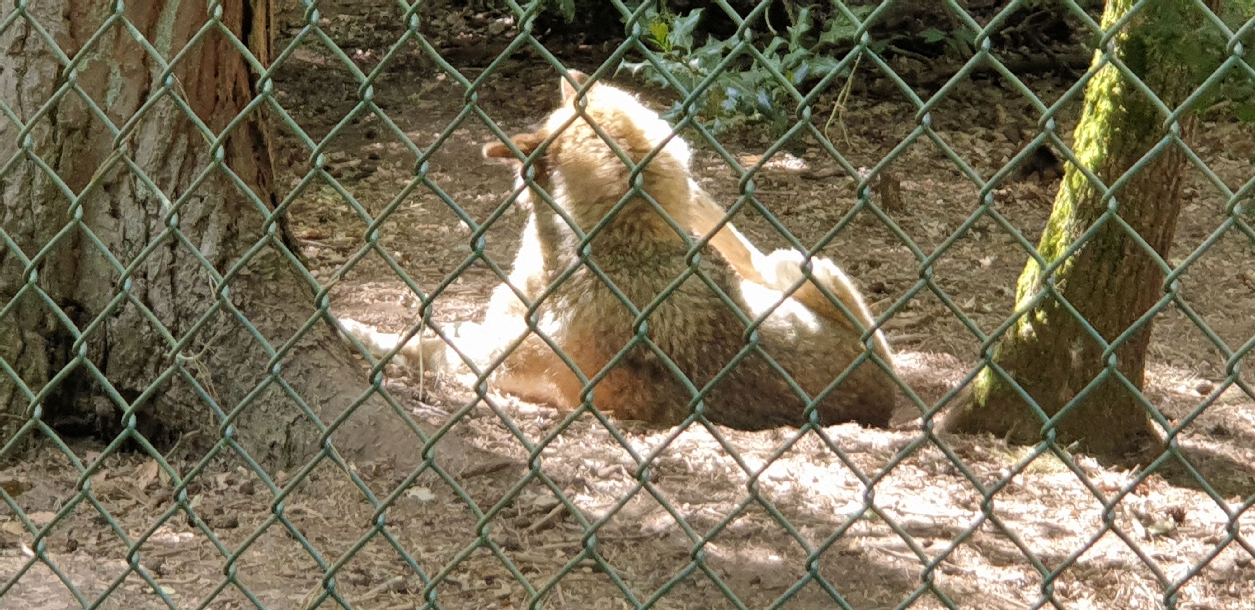 Photo n° 6 de l'avis de Dominique.A fait le 05/05/2022 à 18:02