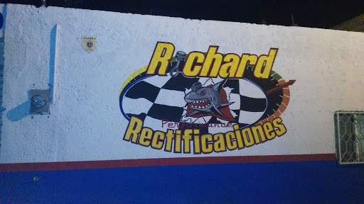 Rectificaciones Richard