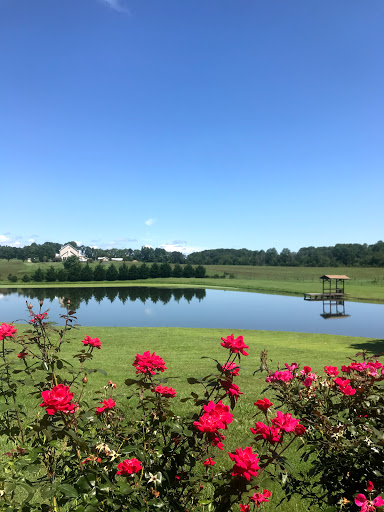 Winery «Molon Lave Vineyards and Winery», reviews and photos, 10075 Lees Mill Rd, Warrenton, VA 20186, USA