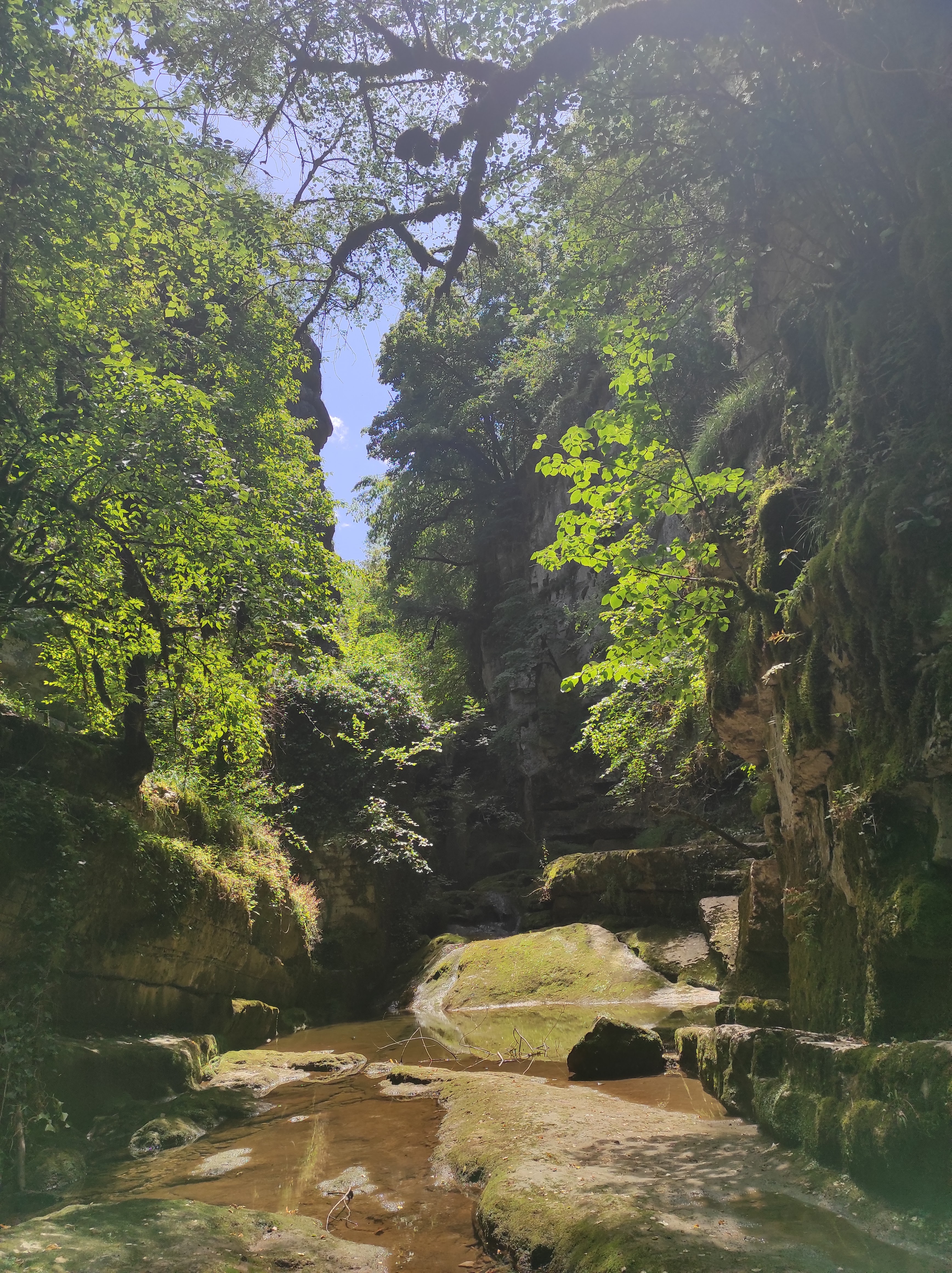 Photo n° 1 de l'avis de Zuber.a fait le 21/07/2023 à 20:50