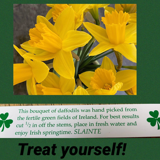 Florist «Concord Flower Shop», reviews and photos, 135 Commonwealth Ave, Concord, MA 01742, USA