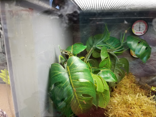 Pet Supply Store «Petco Animal Supplies», reviews and photos, 210 Fortune Blvd, Milford, MA 01757, USA