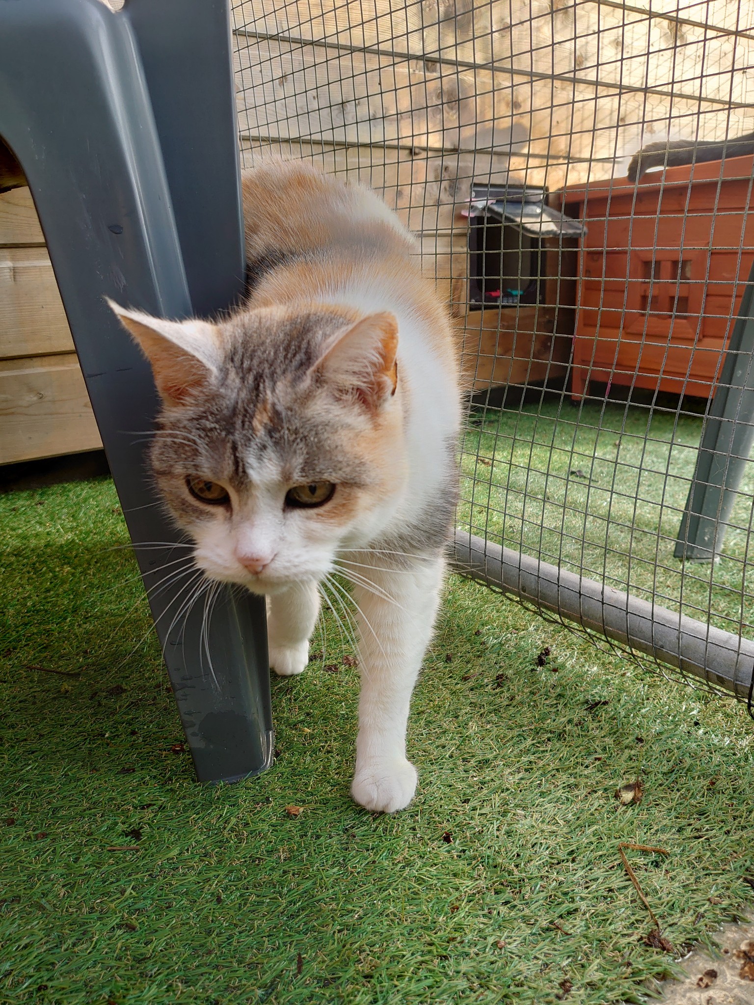 Photo n° 4 de l'avis de Nicolas.a fait le 01/06/2023 à 12:54