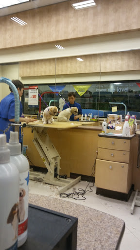 Pet Supply Store «PetSmart», reviews and photos, 1520 Pleasant Valley Rd, Manchester, CT 06042, USA