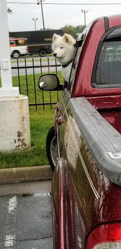 Pet Supply Store «Petco Animal Supplies», reviews and photos, 9700 Midlothian Turnpike, Richmond, VA 23235, USA