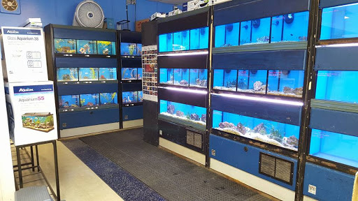 Pet Store «Species Pet Supply», reviews and photos, 1935 W Brandon Blvd, Brandon, FL 33511, USA