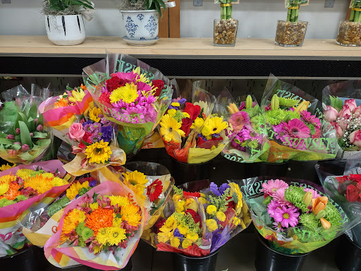 Supermarket «Publix Super Market at Welleby Plaza», reviews and photos, 10155 W Oakland Park Blvd, Sunrise, FL 33351, USA