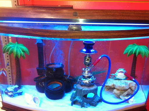 Tobacco Shop «Tobacco &more smoke & vape shop», reviews and photos, 11924 Seminole Blvd, Largo, FL 33778, USA