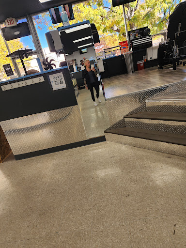 Explore bearded dragon tattoo ideas, creative tattoo ideas in Longmont, available at Sharkys Paradise