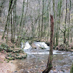 Photo n° 4 de l'avis de Emmanuel. fait le 01/12/2022 à 18:50 pour Cascade des Tufs à Les Planches-prés-Arbois