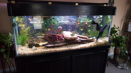 Aquarium «Crystal Reef Aquariums», reviews and photos, 311 Pass Rd, Gulfport, MS 39507, USA