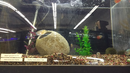 Pet Supply Store «Pet Club Emeryville», reviews and photos, 3535 Hollis St, Oakland, CA 94608, USA