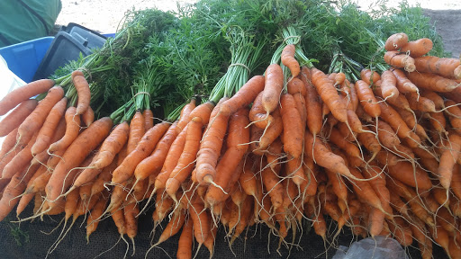  «Mt Hope Farm», reviews and photos, 250 Metacom Ave, Bristol, RI 02809, USA