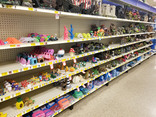 Pet Supply Store «PetSmart», reviews and photos, 2500 Posner Blvd, Davenport, FL 33837, USA