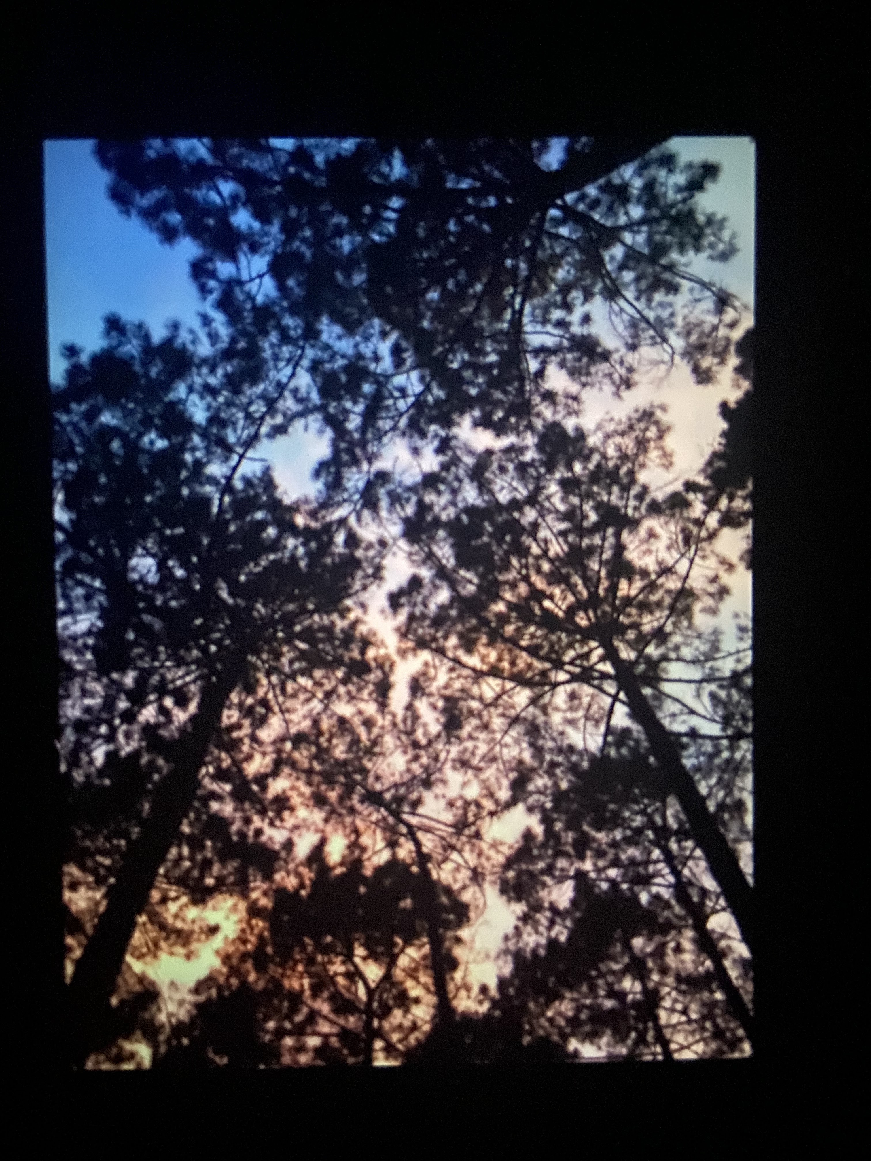 Photo n° 1 de l'avis de Andreeva.v fait le 07/08/2022 à 14:32