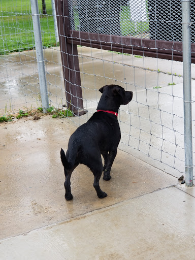 Park «Elm Creek Park Reserve», reviews and photos, 12400 James Deane Pkwy, Maple Grove, MN 55369, USA