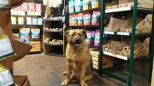 Pet Supply Store «Appalachian Tails Pet Company», reviews and photos, 119 Griswold St, Glastonbury, CT 06033, USA