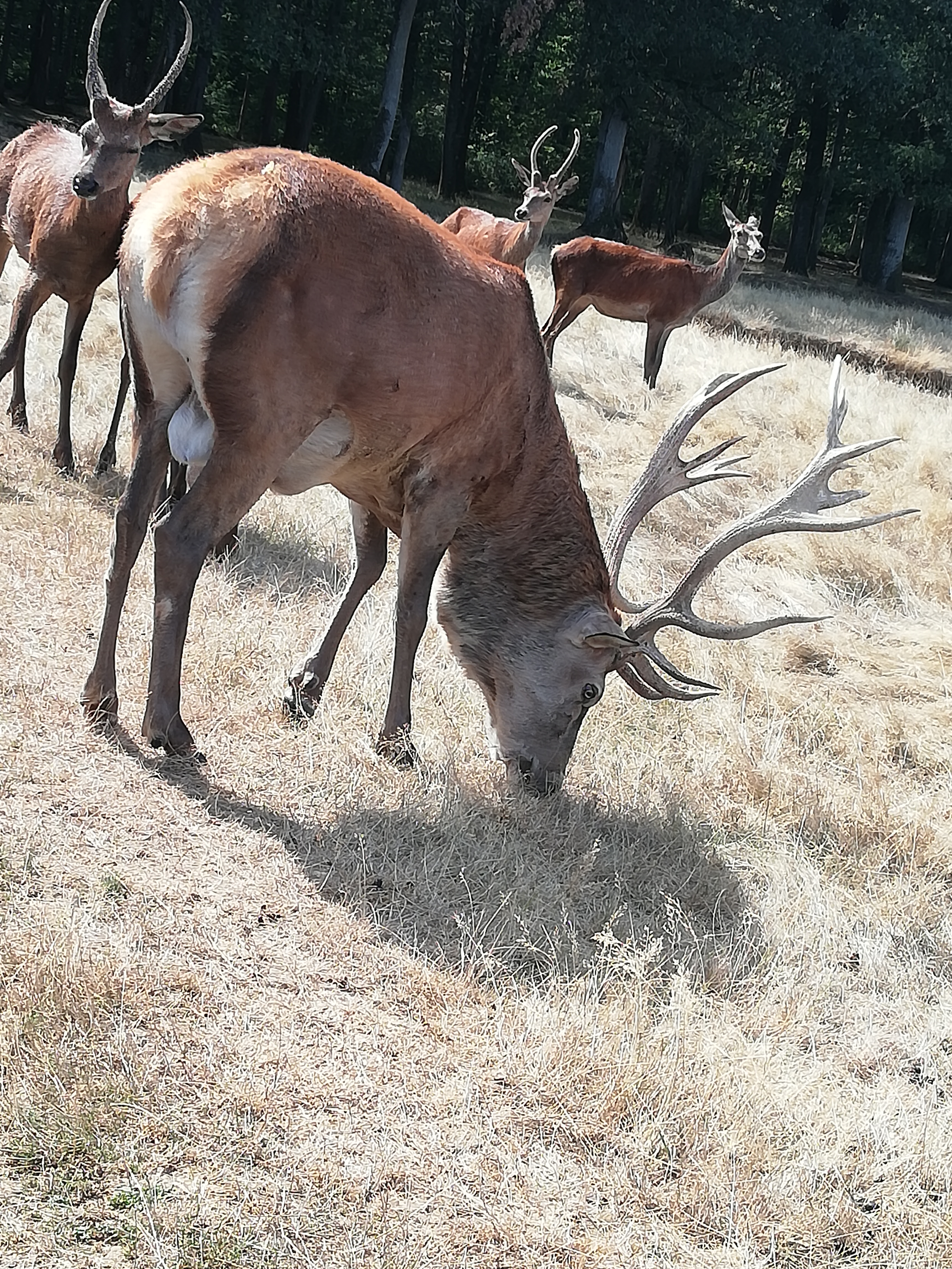 Photo n° 19 de l'avis de Severine.e fait le 23/08/2019 à 23:18
