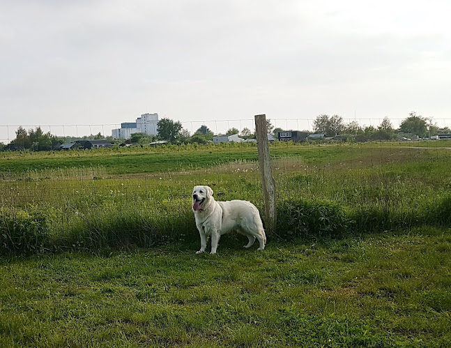 Åbningstider for Hundeskov