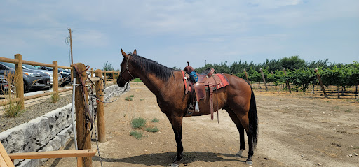 Vineyard «HAT Ranch Winery and Vineyard», reviews and photos, 15343 Plum Rd, Caldwell, ID 83607, USA