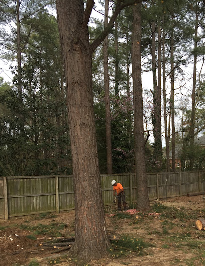 Southern Tree Removal