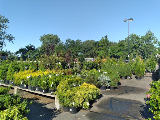 Home Improvement Store «The Home Depot», reviews and photos, 124-04 31st Ave, Queens, NY 11354, USA