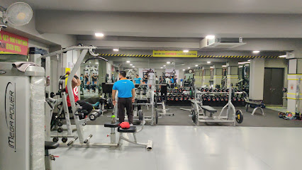 Fly Fit Gym - 4th Floor, Signet Paza Krunal Char Rasta Gotri, Subhanpura Road, Gujarat 390021, India