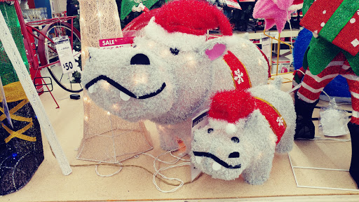 Discount Store «Big Lots», reviews and photos, 15 E 6th St, Bellevue, KY 41073, USA