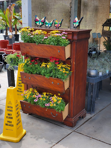 Terra Bella Nursery, Inc. image