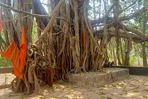 The Banyan Tree image