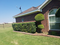 AV Lawn & Tree Care Services - Photo 4 - Car repair in , Odessa