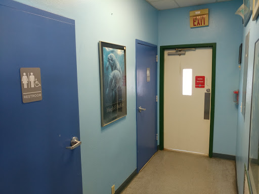 Aquarium «Mote Marine Laboratory & Aquarium», reviews and photos, 1600 Ken Thompson Pkwy, Sarasota, FL 34236, USA