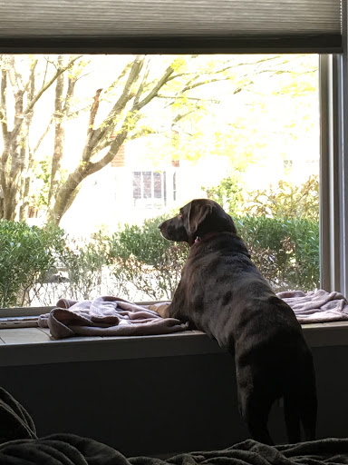 Pet Store «Pet Valu», reviews and photos, 190 Forty Foot Rd, Hatfield, PA 19440, USA