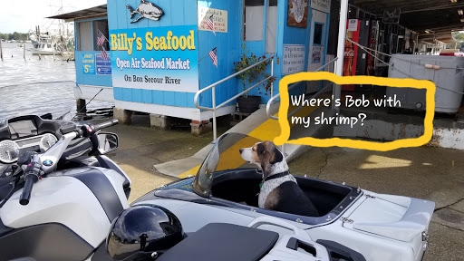 Huckleberry's Pet Parlor