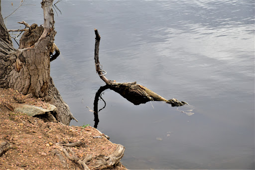 Park «Vanderbilt Park», reviews and photos, 855 S Platte River Dr, Denver, CO 80223, USA