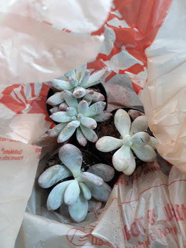 Home Improvement Store «The Home Depot», reviews and photos, 11215 St Charles Rock Rd, Bridgeton, MO 63044, USA