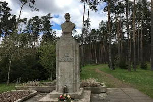 Monument to Jonas Basanavičius image