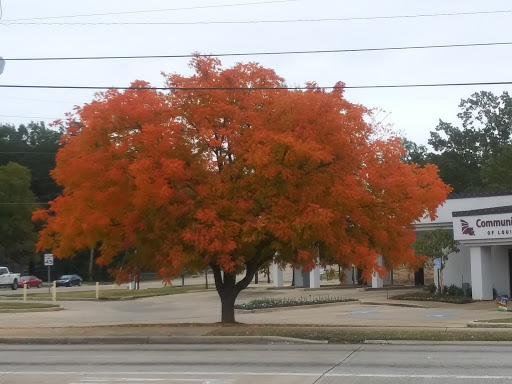 Liquor Store «Thrifty Discount Liquor & Wines #5», reviews and photos, 3101 W Bert Kouns Industrial Loop, Shreveport, LA 71118, USA