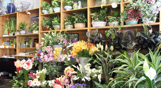 Florist «Caruso Florist», reviews and photos, 1717 M St NW, Washington, DC 20036, USA