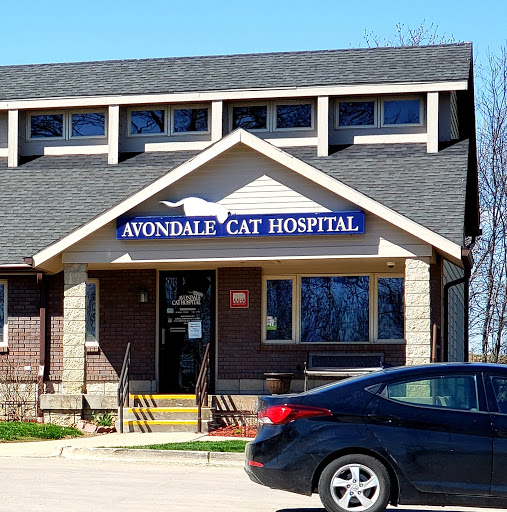 Avondale Pet Resort image