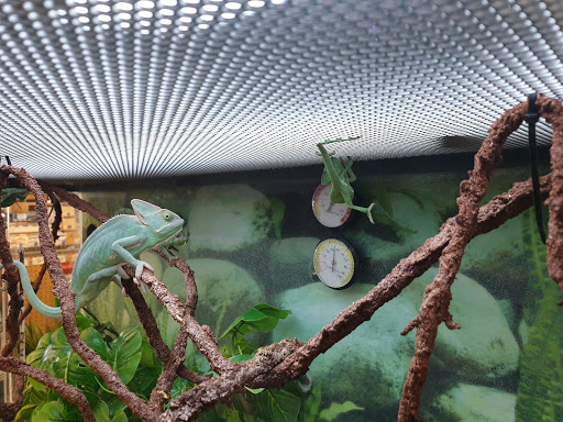 Pet Supply Store «Petco Animal Supplies», reviews and photos, 4663 Firestone Blvd, South Gate, CA 90280, USA