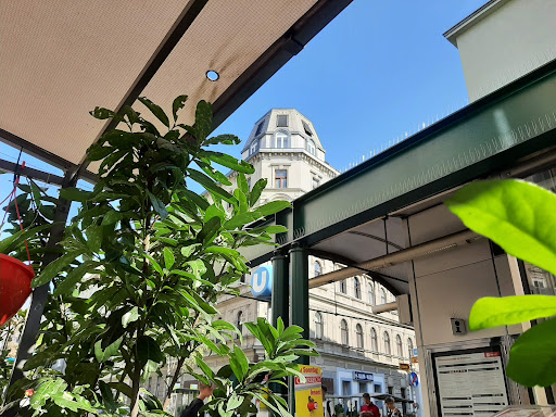 Salon Maria Labutta In Vienna