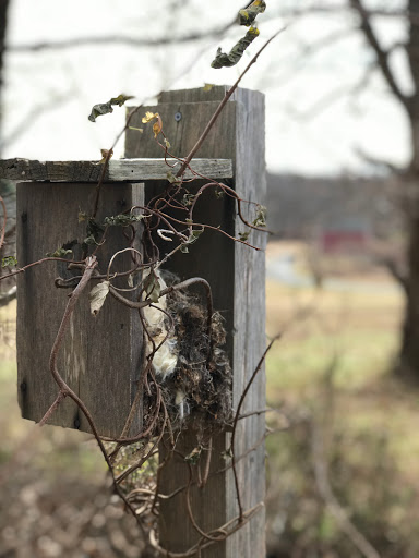 Park «Poricy Park Nature Center», reviews and photos, 345 Oak Hill Rd, Red Bank, NJ 07701, USA