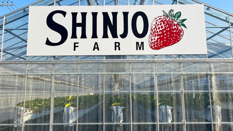 SHINJO FARM
